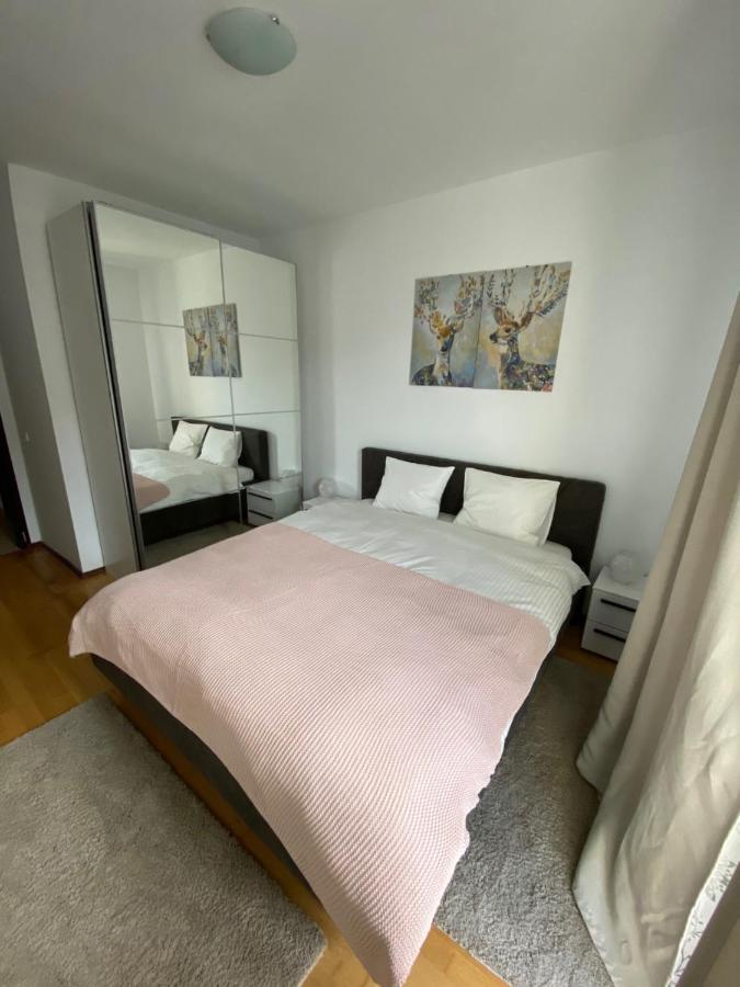 شقة Ioana'S Apartament سِنايا المظهر الخارجي الصورة